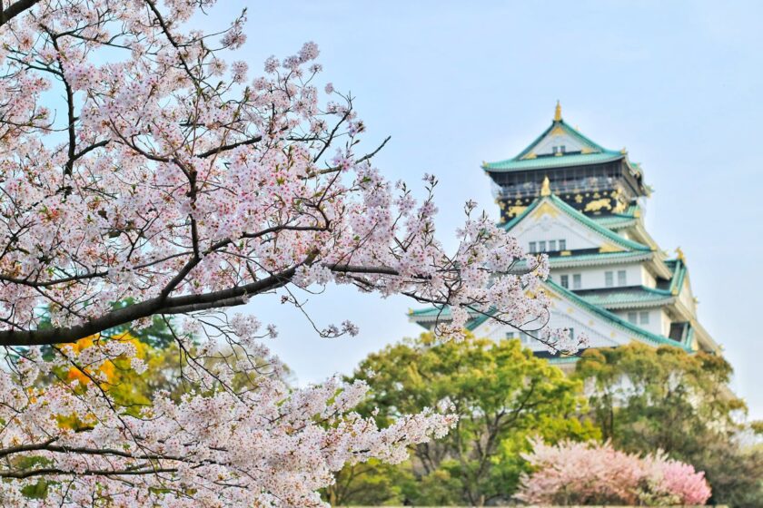 Guide to cherry blossom season in Japan - spring