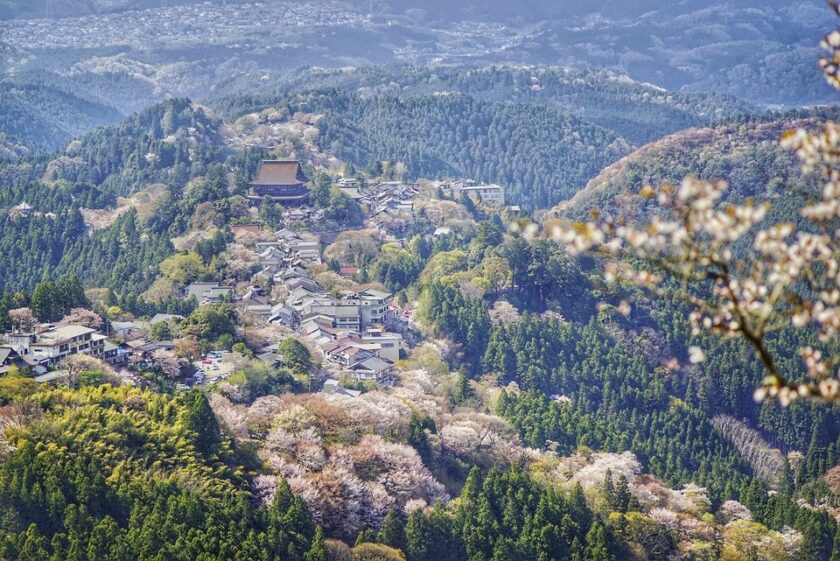 Mount Yoshino during sakura season