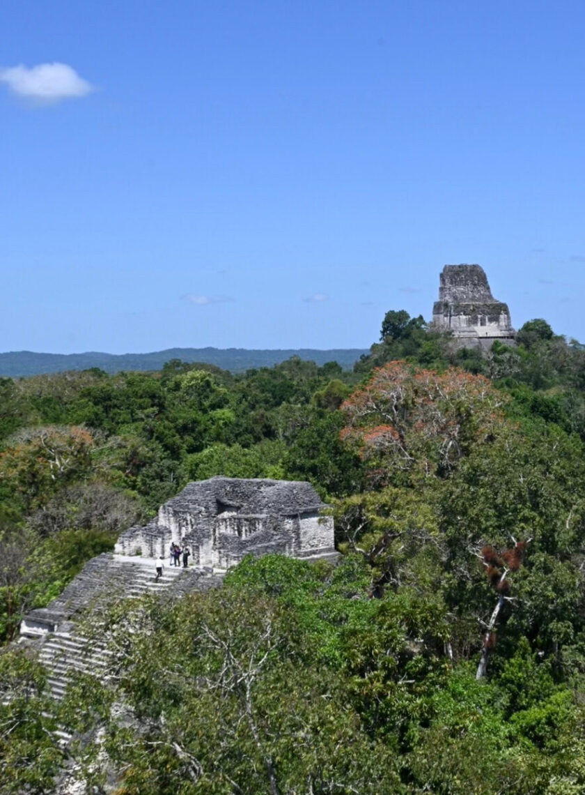 Peten jungle - Tikal Maya ruins