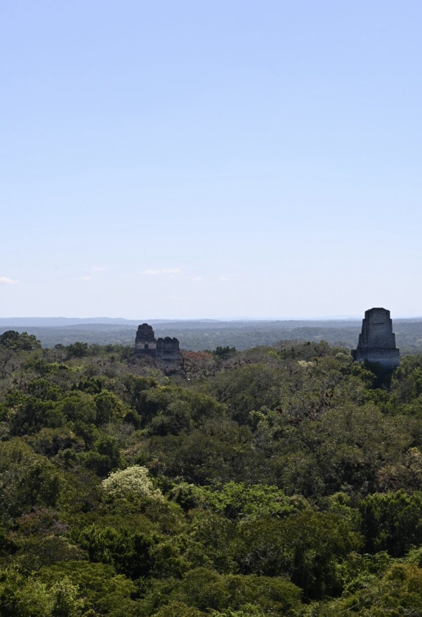 Tikal ruins - Peten rainforest